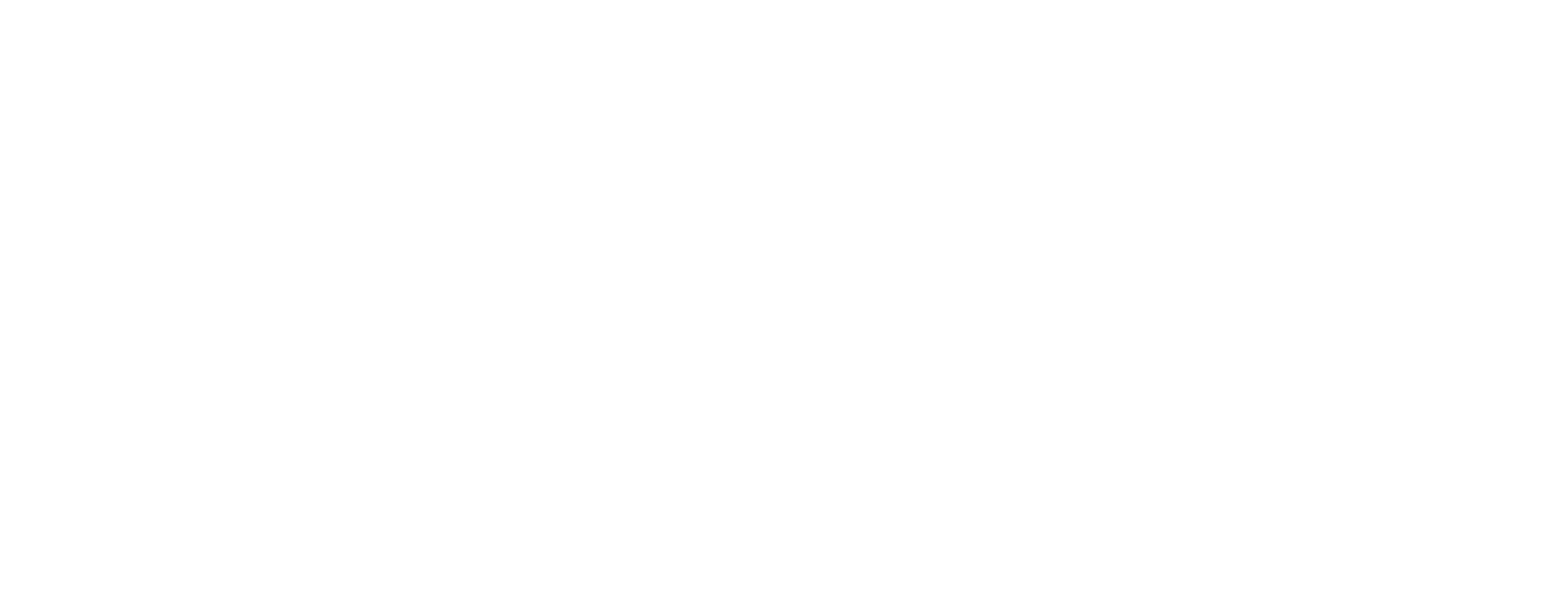 The Lester Group