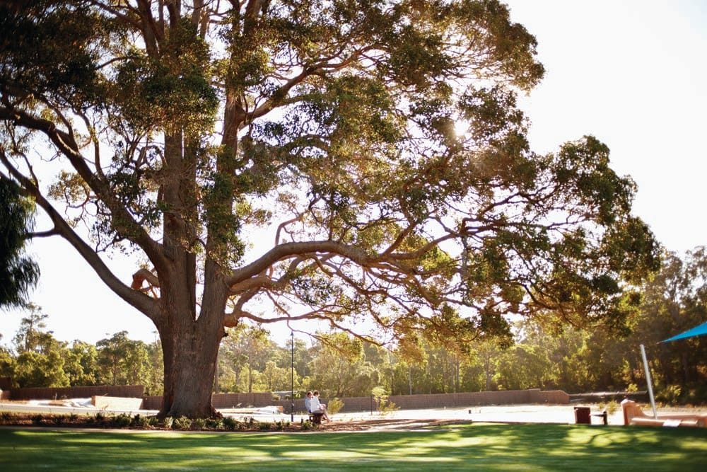 Margaret River bushland near Rapids Landing