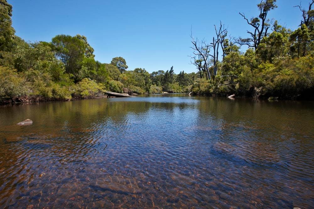 Parklands / river reserve photo